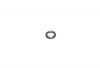 Уплотнит.кольцо SKODA Roomster (5J) трубки масл. щупа изображение
