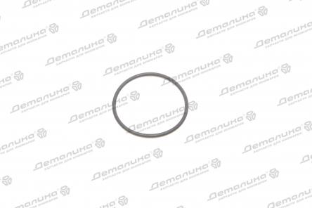уплотнительное кольцо N90062702 VAG